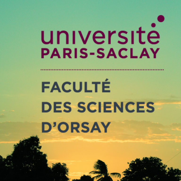 How did I get into the Up-Saclay with IDEX Scholarship?